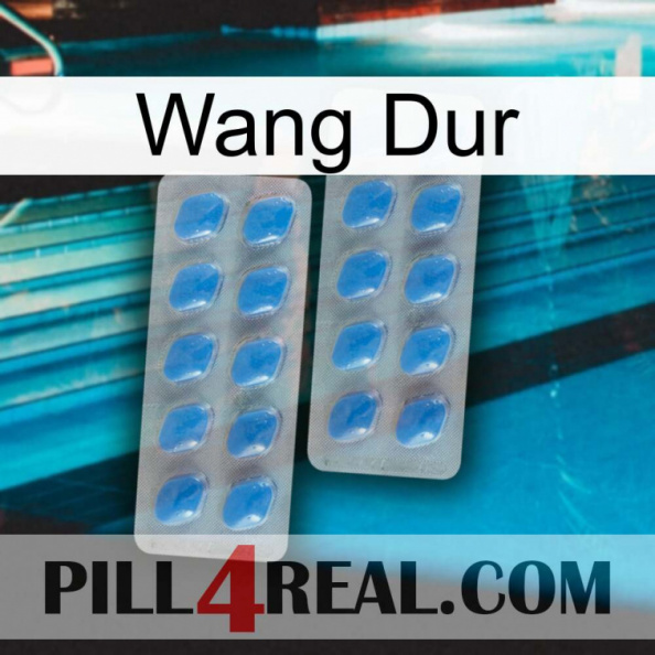 Hard Wang 23